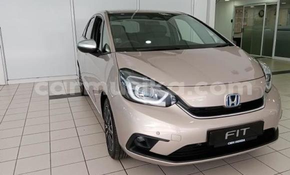 Tenga Tsaru Honda Fit Zvimwe Mota in Beitbridge in Matabeleland South Tenga Tsaru Honda Fit Zvimwe Mota in Beitbridge in Matabeleland South