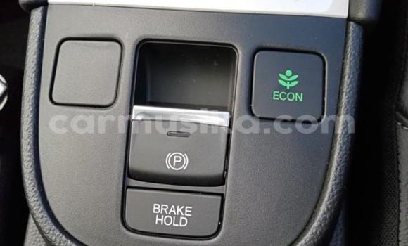 Tenga Tsaru Honda Fit Zvimwe Mota in Beitbridge in Matabeleland South Tenga Tsaru Honda Fit Zvimwe Mota in Beitbridge in Matabeleland South