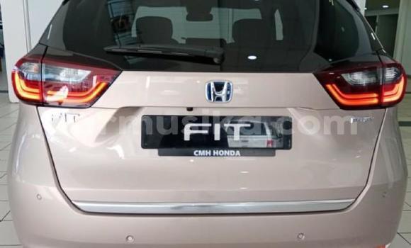 Tenga Tsaru Honda Fit Zvimwe Mota in Beitbridge in Matabeleland South Tenga Tsaru Honda Fit Zvimwe Mota in Beitbridge in Matabeleland South