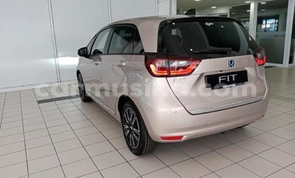 Tenga Tsaru Honda Fit Zvimwe Mota in Beitbridge in Matabeleland South Tenga Tsaru Honda Fit Zvimwe Mota in Beitbridge in Matabeleland South