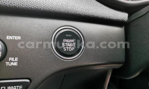 Acheter Occasion Voiture Kia Sportage Blanc à Beitbridge, Matabeleland South Acheter Occasion Voiture Kia Sportage Blanc à Beitbridge, Matabeleland South