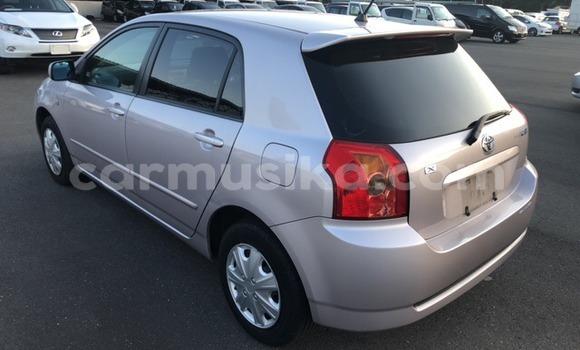 Acheter Occasion Voiture Toyota Runx Gris à Beitbridge, Matabeleland South Acheter Occasion Voiture Toyota Runx Gris à Beitbridge, Matabeleland South