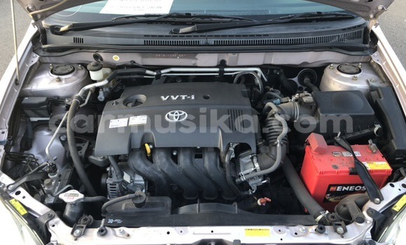 Acheter Occasion Voiture Toyota Runx Gris à Beitbridge, Matabeleland South Acheter Occasion Voiture Toyota Runx Gris à Beitbridge, Matabeleland South