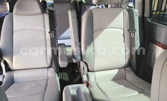 Tenga Tsaru Mercedes‒Benz Viano Nhema Mota in Beitbridge in Matabeleland South Tenga Tsaru Mercedes‒Benz Viano Nhema Mota in Beitbridge in Matabeleland South