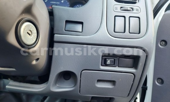 Tenga Tsaru Nissan NP 300 Chena Mota in Beitbridge in Matabeleland South Tenga Tsaru Nissan NP 300 Chena Mota in Beitbridge in Matabeleland South