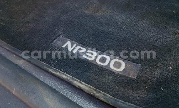 Tenga Tsaru Nissan NP 300 Chena Mota in Beitbridge in Matabeleland South Tenga Tsaru Nissan NP 300 Chena Mota in Beitbridge in Matabeleland South