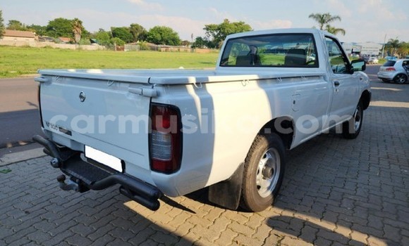 Tenga Tsaru Nissan NP 300 Chena Mota in Beitbridge in Matabeleland South Tenga Tsaru Nissan NP 300 Chena Mota in Beitbridge in Matabeleland South