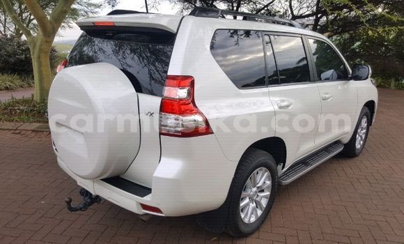 Tenga Tsaru Toyota Land Cruiser Prado Chena Mota in Harare in Harare Tenga Tsaru Toyota Land Cruiser Prado Chena Mota in Harare in Harare