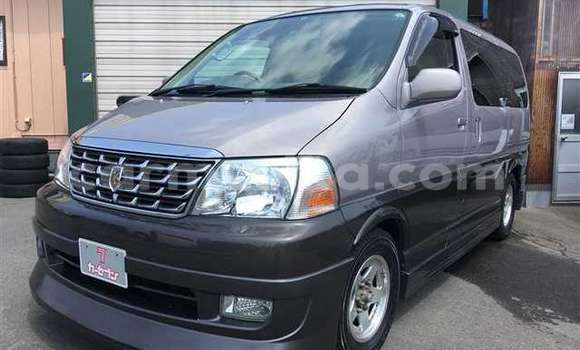 Buy Used Toyota Granvia Other Car in Beitbridge in Matabeleland South