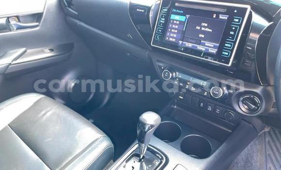 Tenga Tsaru Toyota Hilux Chena Mota in Beitbridge in Matabeleland South Tenga Tsaru Toyota Hilux Chena Mota in Beitbridge in Matabeleland South