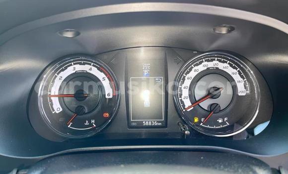 Tenga Tsaru Toyota Hilux Chena Mota in Beitbridge in Matabeleland South Tenga Tsaru Toyota Hilux Chena Mota in Beitbridge in Matabeleland South