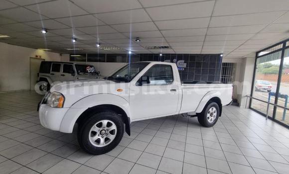 Tenga Tsaru Nissan NP 300 Chena Mota in Beitbridge in Matabeleland South