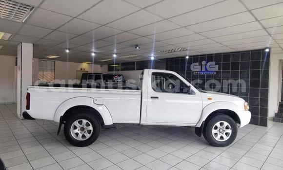 Acheter Occasion Voiture Nissan NP 300 Blanc à Beitbridge, Matabeleland South Acheter Occasion Voiture Nissan NP 300 Blanc à Beitbridge, Matabeleland South