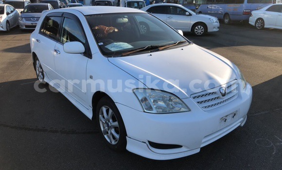 Tenga Tsaru Toyota Allex Chena Mota in Beitbridge in Matabeleland South