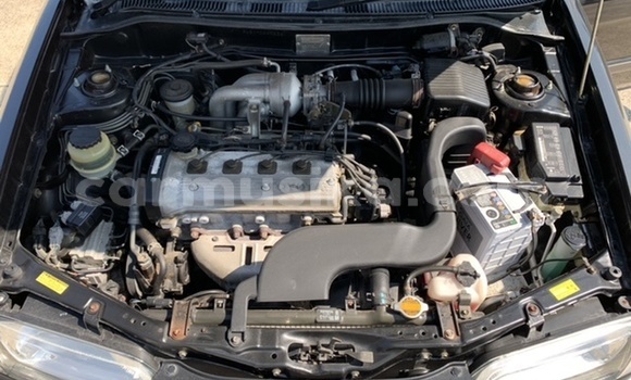 Tenga Tsaru Toyota Corolla II Nhema Mota in Beitbridge in Matabeleland South Tenga Tsaru Toyota Corolla II Nhema Mota in Beitbridge in Matabeleland South