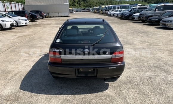 Tenga Tsaru Toyota Corolla II Nhema Mota in Beitbridge in Matabeleland South Tenga Tsaru Toyota Corolla II Nhema Mota in Beitbridge in Matabeleland South
