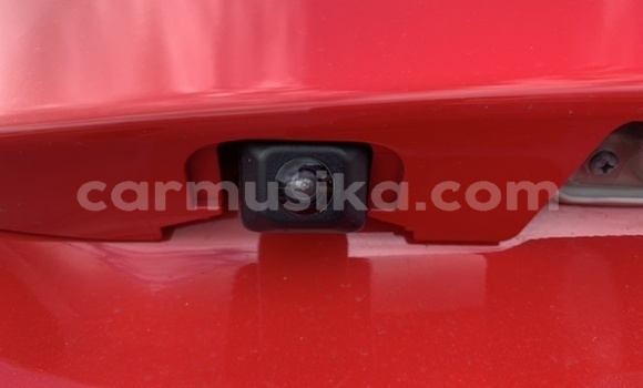 Tenga Tsaru Toyota Passo Sette Tsvuku Mota in Harare in Harare Tenga Tsaru Toyota Passo Sette Tsvuku Mota in Harare in Harare