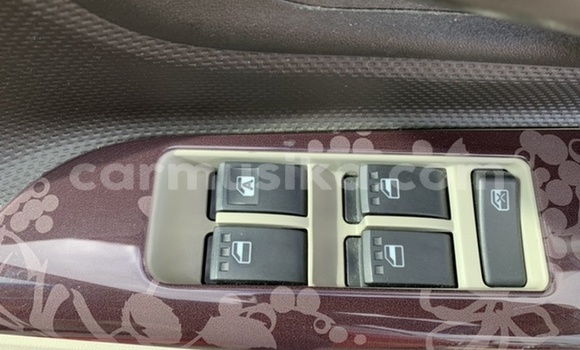 Tenga Tsaru Toyota Passo Sette Tsvuku Mota in Harare in Harare Tenga Tsaru Toyota Passo Sette Tsvuku Mota in Harare in Harare