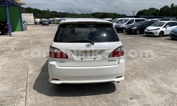 Tenga Tsaru Toyota Ipsum Chena Mota in Harare in Harare Tenga Tsaru Toyota Ipsum Chena Mota in Harare in Harare