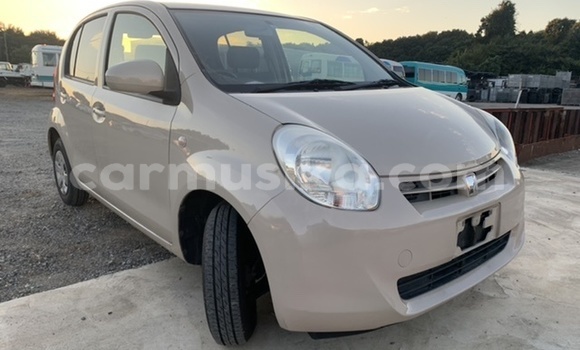 Tenga Tsaru Toyota Passo Zvimwe Mota in Beitbridge in Matabeleland South