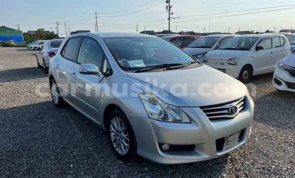 Buy Used Toyota Blade Silver Car in Beitbridge in Matabeleland South