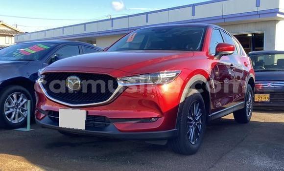Buy Used Mazda CX-5 Red Car in Belvedere in Harare