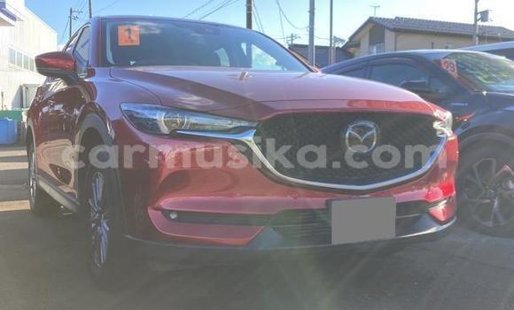 Tenga Tsaru Mazda CX-5 Tsvuku Mota in Belvedere in Harare Tenga Tsaru Mazda CX-5 Tsvuku Mota in Belvedere in Harare