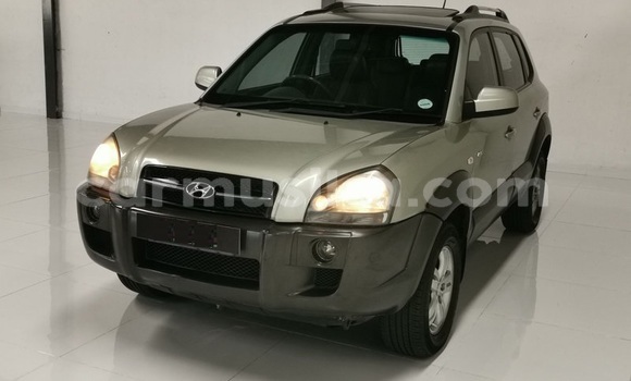 Acheter Occasion Voiture Hyundai Tucson Autre à Beitbridge, Matabeleland South Acheter Occasion Voiture Hyundai Tucson Autre à Beitbridge, Matabeleland South