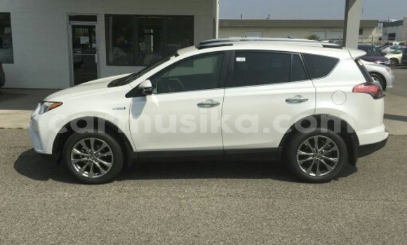 Buy Used Toyota RAV4 White Car in Hatfield in Harare Buy Used Toyota RAV4 White Car in Hatfield in Harare