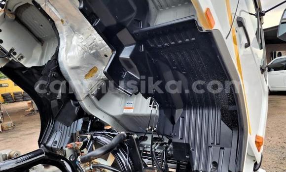 Buy Used Nissan UD White Truck in Beitbridge in Matabeleland South Buy Used Nissan UD White Truck in Beitbridge in Matabeleland South