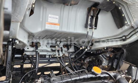 Buy Used Nissan UD White Truck in Beitbridge in Matabeleland South Buy Used Nissan UD White Truck in Beitbridge in Matabeleland South