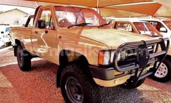 Tenga Tsaru Toyota Hilux Zvimwe Mota in Beitbridge in Matabeleland South