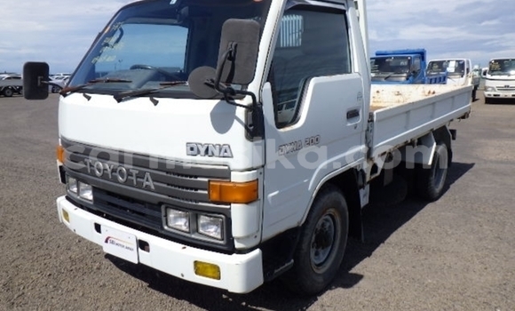 Buy Used Toyota Dyna White Truck in Beitbridge in Matabeleland South