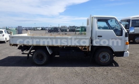 Buy Used Toyota Dyna White Truck in Beitbridge in Matabeleland South Buy Used Toyota Dyna White Truck in Beitbridge in Matabeleland South