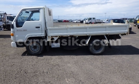Buy Used Toyota Dyna White Truck in Beitbridge in Matabeleland South Buy Used Toyota Dyna White Truck in Beitbridge in Matabeleland South