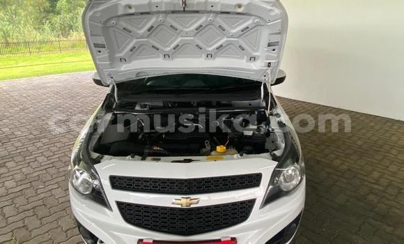 Buy Used Chevrolet Corsa White Car in Beitbridge in Matabeleland South Buy Used Chevrolet Corsa White Car in Beitbridge in Matabeleland South