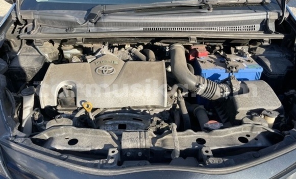 Buy Used Toyota Vitz Black Car in Beitbridge in Matabeleland South Buy Used Toyota Vitz Black Car in Beitbridge in Matabeleland South