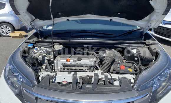 Buy Used Hyundai Creta White Car in Beitbridge in Matabeleland South Buy Used Hyundai Creta White Car in Beitbridge in Matabeleland South