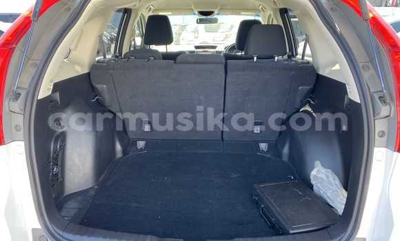 Buy Used Hyundai Creta White Car in Beitbridge in Matabeleland South Buy Used Hyundai Creta White Car in Beitbridge in Matabeleland South