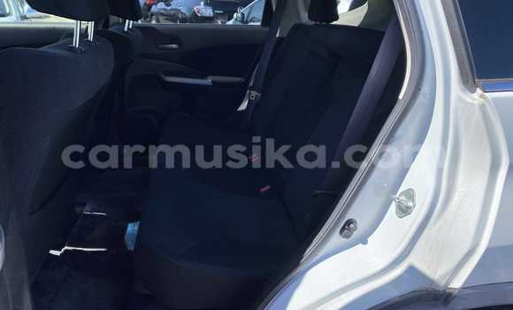 Buy Used Hyundai Creta White Car in Beitbridge in Matabeleland South Buy Used Hyundai Creta White Car in Beitbridge in Matabeleland South