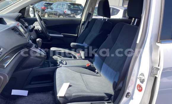 Buy Used Hyundai Creta White Car in Beitbridge in Matabeleland South Buy Used Hyundai Creta White Car in Beitbridge in Matabeleland South