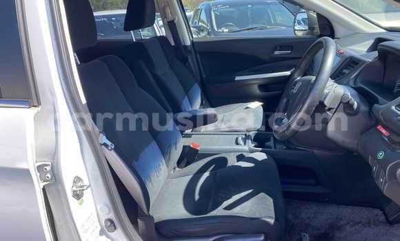 Buy Used Hyundai Creta White Car in Beitbridge in Matabeleland South Buy Used Hyundai Creta White Car in Beitbridge in Matabeleland South