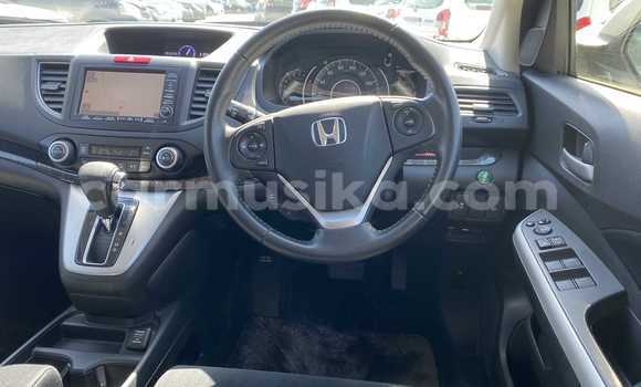 Buy Used Hyundai Creta White Car in Beitbridge in Matabeleland South Buy Used Hyundai Creta White Car in Beitbridge in Matabeleland South