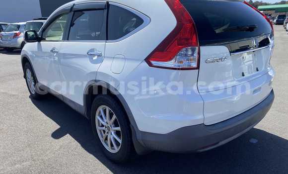 Buy Used Hyundai Creta White Car in Beitbridge in Matabeleland South Buy Used Hyundai Creta White Car in Beitbridge in Matabeleland South