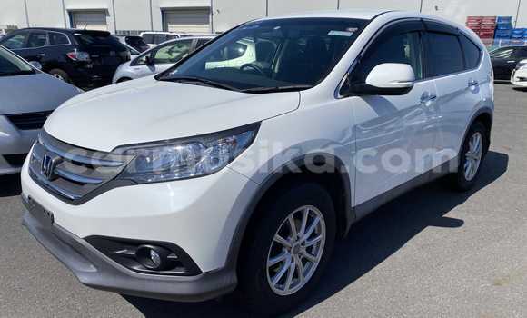 Buy Used Hyundai Creta White Car in Beitbridge in Matabeleland South Buy Used Hyundai Creta White Car in Beitbridge in Matabeleland South