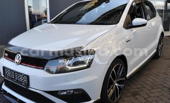 Buy Used Volkswagen Polo GTI White Car in Beitbridge in Matabeleland South Buy Used Volkswagen Polo GTI White Car in Beitbridge in Matabeleland South