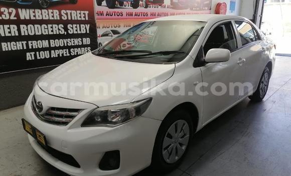 Buy Used Toyota Corolla White Car in Beitbridge in Matabeleland South Buy Used Toyota Corolla White Car in Beitbridge in Matabeleland South