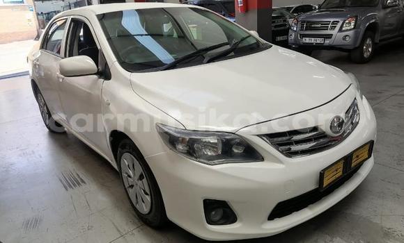 Tenga Tsaru Toyota Corolla Chena Mota in Beitbridge in Matabeleland South Tenga Tsaru Toyota Corolla Chena Mota in Beitbridge in Matabeleland South