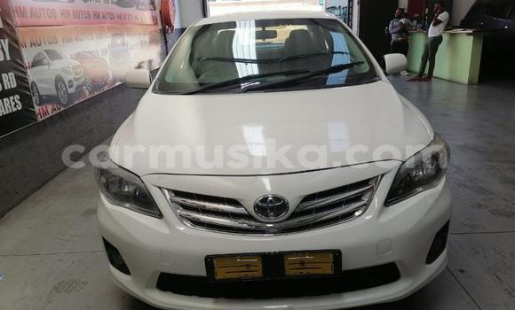 Tenga Tsaru Toyota Corolla Chena Mota in Beitbridge in Matabeleland South Tenga Tsaru Toyota Corolla Chena Mota in Beitbridge in Matabeleland South