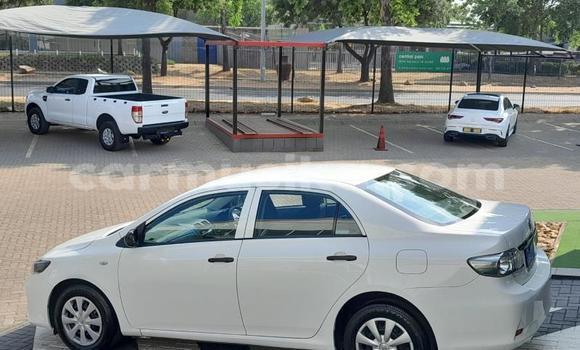 Tenga Tsaru Toyota Corolla Chena Mota in Beitbridge in Matabeleland South Tenga Tsaru Toyota Corolla Chena Mota in Beitbridge in Matabeleland South